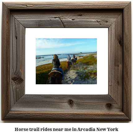 horse trail rides near me in Arcadia, New York